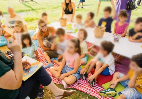 292803255_448641937114678_4724188774004544608_n